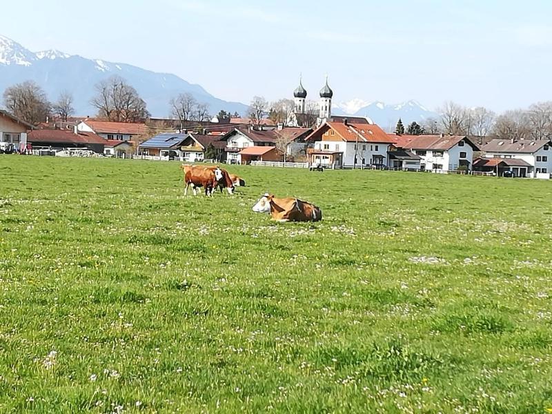Apartment Moosblick Zwischen Bergen Und See เบเนดิกต์บอยเอิร์น ภายนอก รูปภาพ